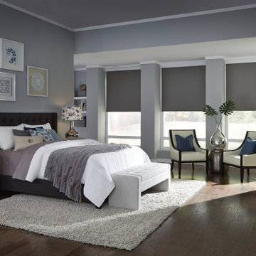 Lutron Automated Window Shades