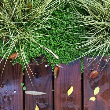 Jardin en RDC à Levallois-Perret