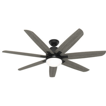 Hunter 60" Ceiling Fan With LED Light Kit and Wall Control, Matte Black