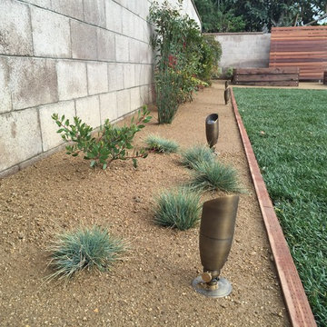 Mid Town Ventura Back Yard
