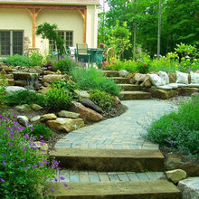 Backyard Landscape