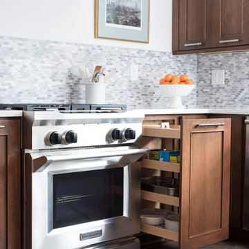 Rich Transitional Kitchen Refresh
