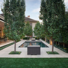 MODERN LANDSCAPE