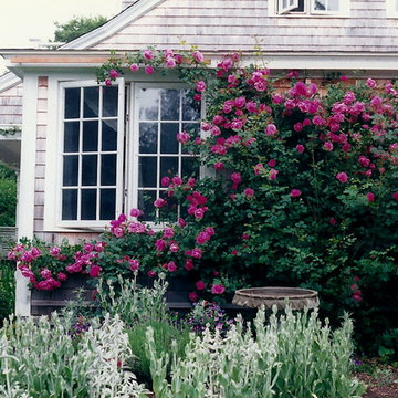 Garden Designs
