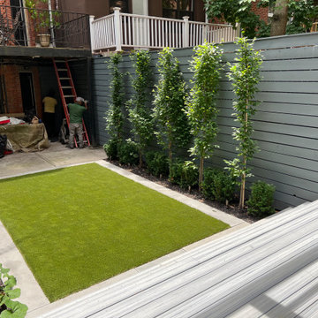 Harlem Brownstone Garden