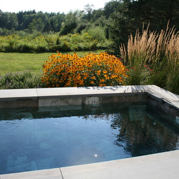 Plunge Pool