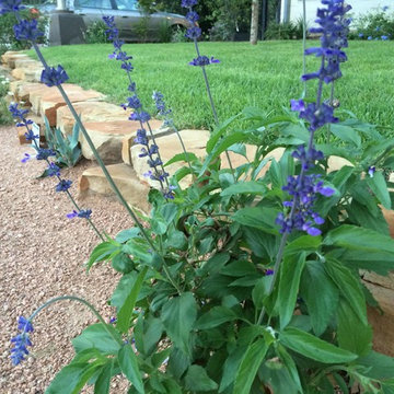 Xeriscape #1