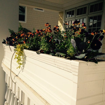 Container Gardens