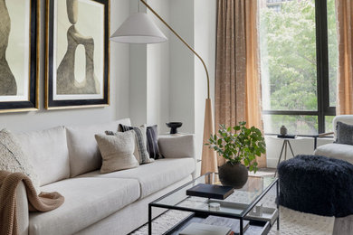 Example of a trendy living room design in DC Metro