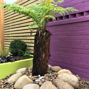Bright & Bold Contemporary new build garden