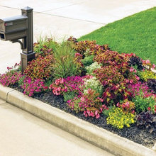 mailbox landscape