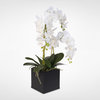Real Touch Phalaenopsis Silk Orchids in a Metal Planter
