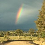 Judith Lean's photo