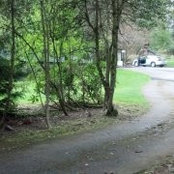 Photo de America Ann