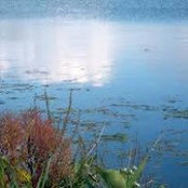 Jo Ann Rosen's photo