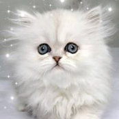 Gail Smith's photo