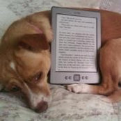 Julia Wooldridge's photo