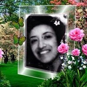 sonia del toro's photo