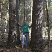 Mike Chiappetti's photo
