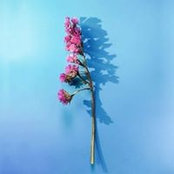 Salma Ashraf's photo