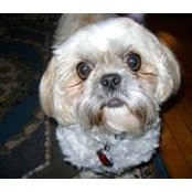 Eileen Heighton's photo
