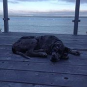 April MacFarlane's photo