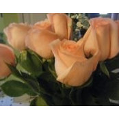 Mary Moeri's photo