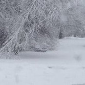 Jeanette Perry's photo