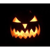 Scott Grady's photo