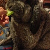 Casey Finkbeiner's photo