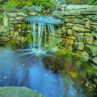 Mittelgroßes, Halbschattiges Stilmix Garten im Innenhof in Washington, D.C.