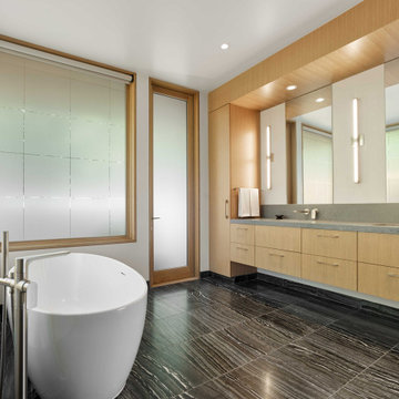 Contemporary Home, Ross Valley
