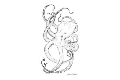 Underwater Ocean Drawings - Octopus - Beach Art