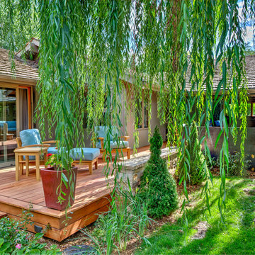 Willow Sanctuary