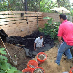 Rainwater Collection from Brooklyn Roof: - Watering And Irrigation Equipment