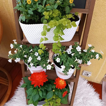 vidaXL 3-Tier Plant Stand with Blackboard 15.7"x11.8"x35.4" Solid Fir Wood