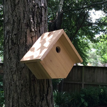 Blue Bird, Songbird, Swallow & Wren Houses