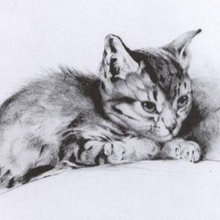 pen and ink