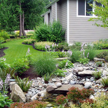 dry creek bed