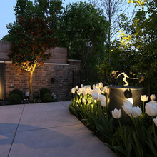 Planting Ideas