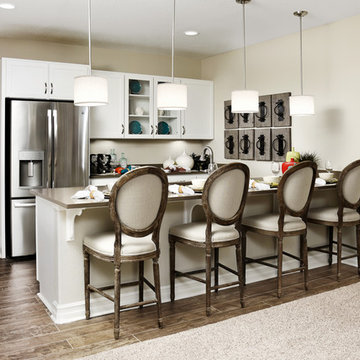 Arlington model home in Colorado