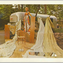michelle_donohue50's ideas