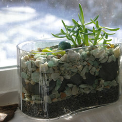 Micro-Gardens - Products