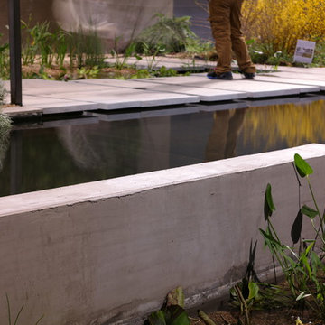 Natural Swimming Pool. 2014 Chicago Flower and Garden Show