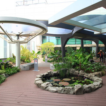Changi Airport Lily Pad Garden