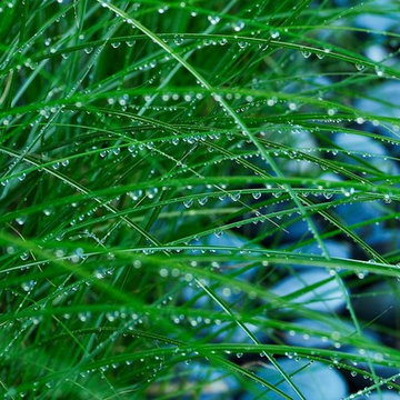 various landscape architects, exteriors