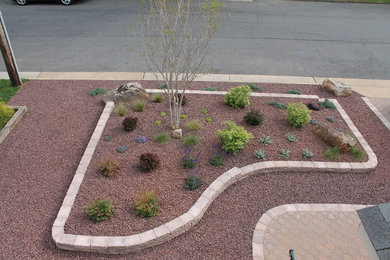 This is an example of a mid-sized transitional garden in DC Metro.