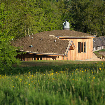 Woodland Kitchen