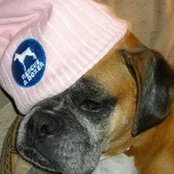 Julia Coulson's photo