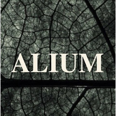 Alium_project